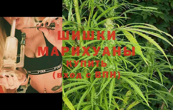 PSILOCYBIN Мегион