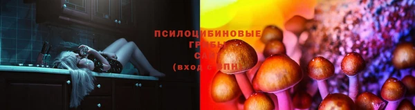мдпв Медвежьегорск