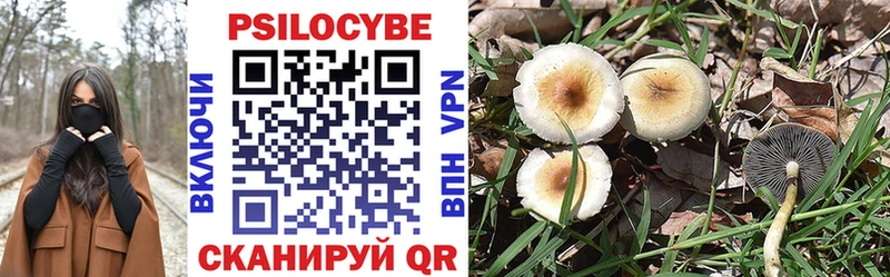 Псилоцибиновые грибы Psilocybe цена Кимры