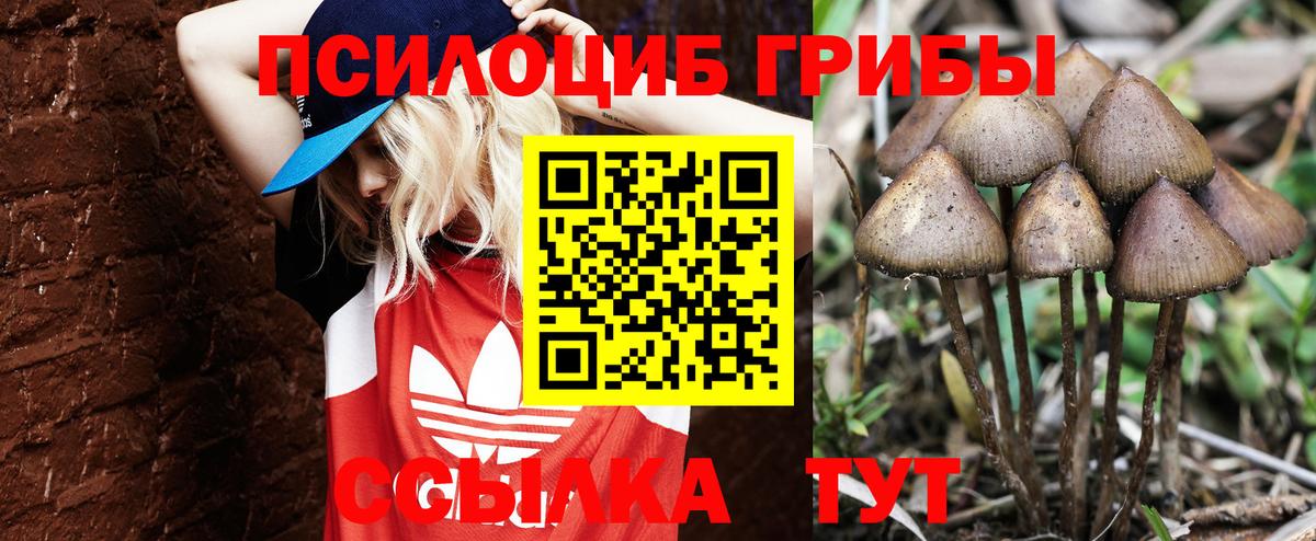 Меф кристаллы  Каннабис  COCAIN  Кимры  Каннабис  ГАШ  Гашиш  Вход с VPN 