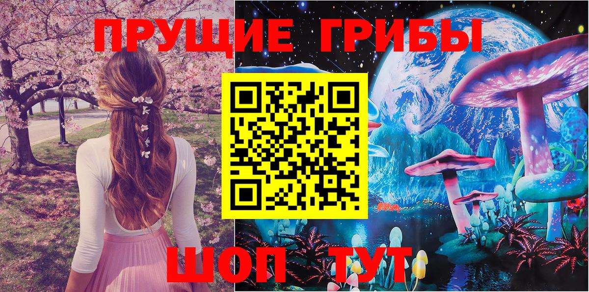 Галлюциногенные грибы Psilocybine cubensis Кимры