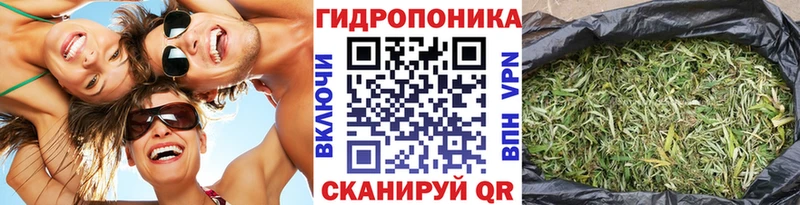 Бошки марихуана VHQ  Кимры 